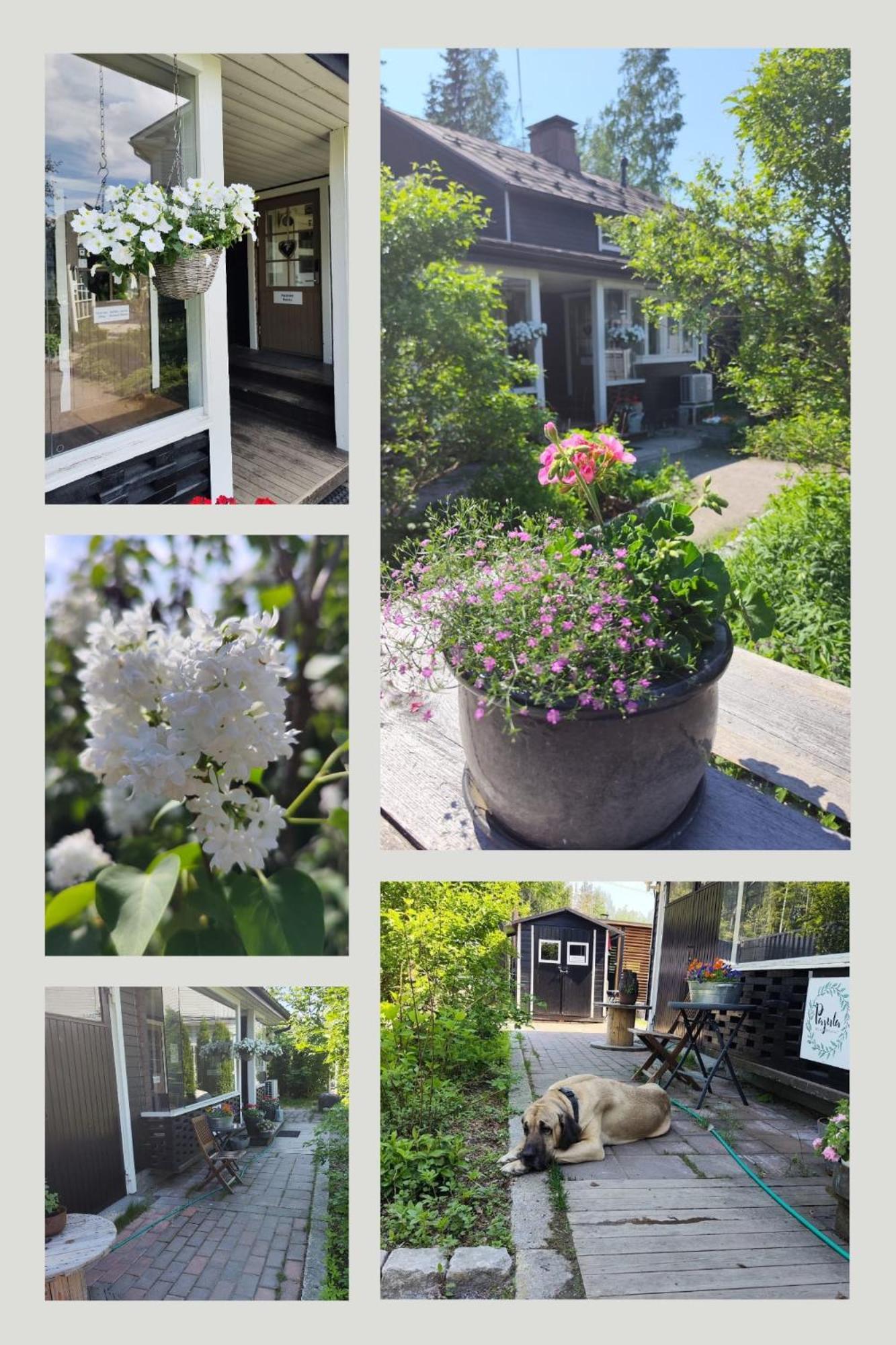 Pajula B&B Jarvenpaa Exterior photo